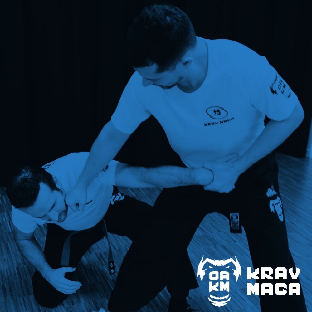 Démonstration frappes & poids de corps - OAKM - Club Krav Maga Colmar