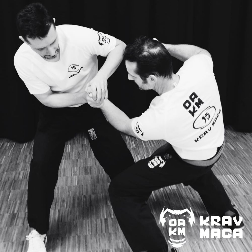 Démonstration frappes & poids de corps - OAKM - Club Krav Maga Colmar